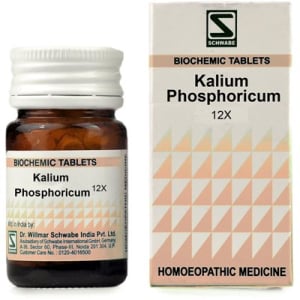 Dr Willmar Schwabe India Kalium Phosphoricum Biochemic Tablet 12X
